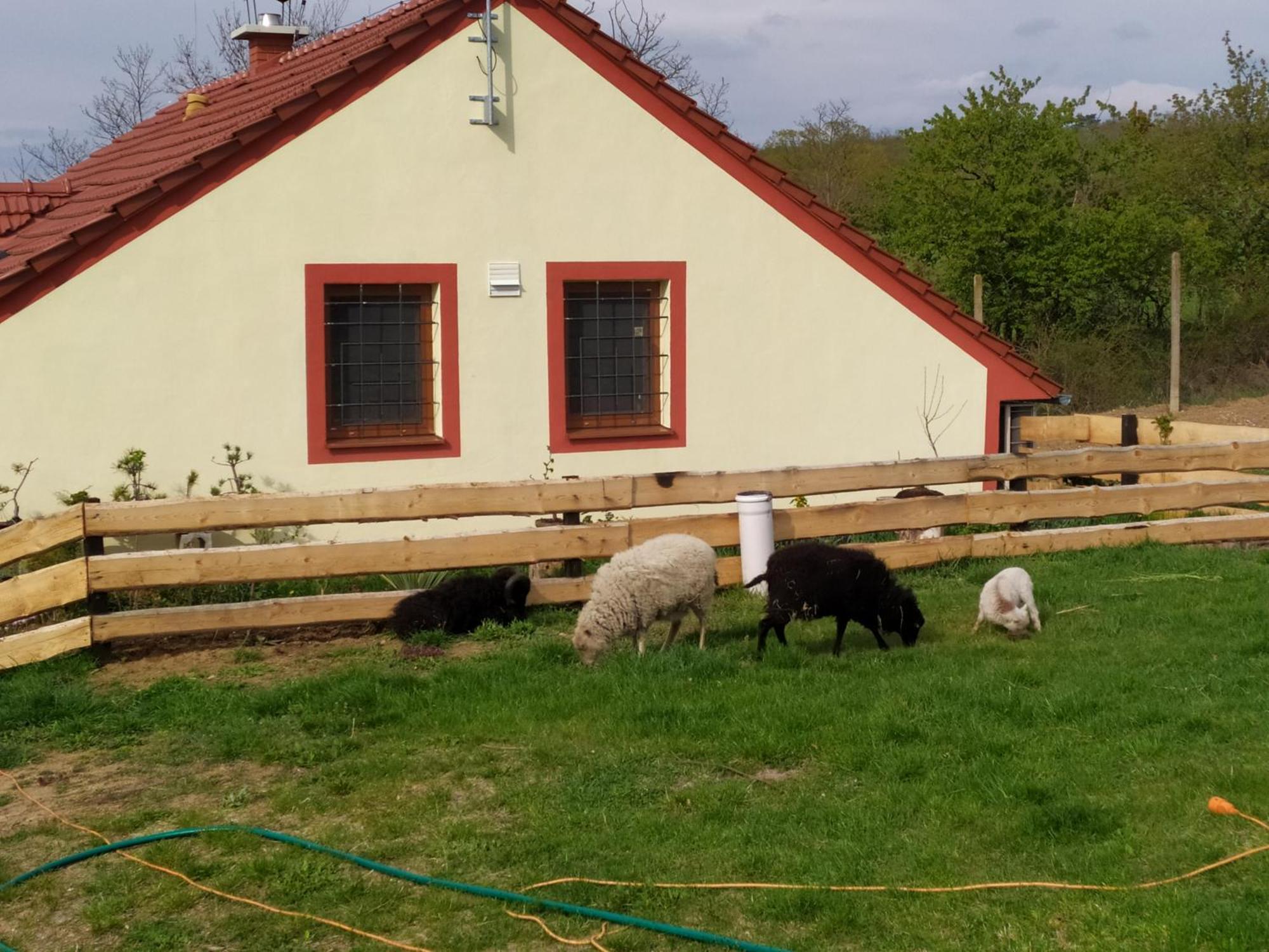 Katerinsky Sklipek Homestay